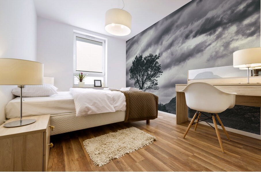 Assynt Tree Mural print