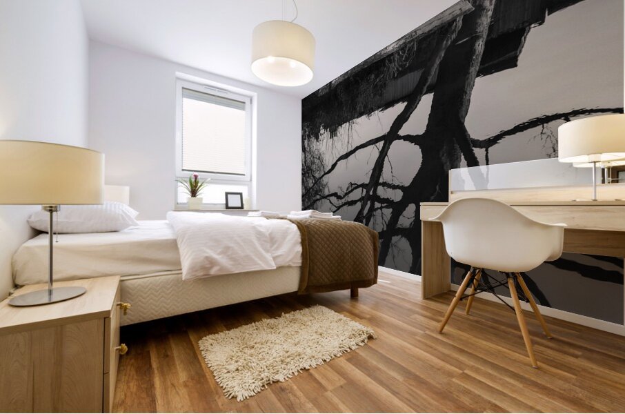 Dory on the Union Canal Mural print