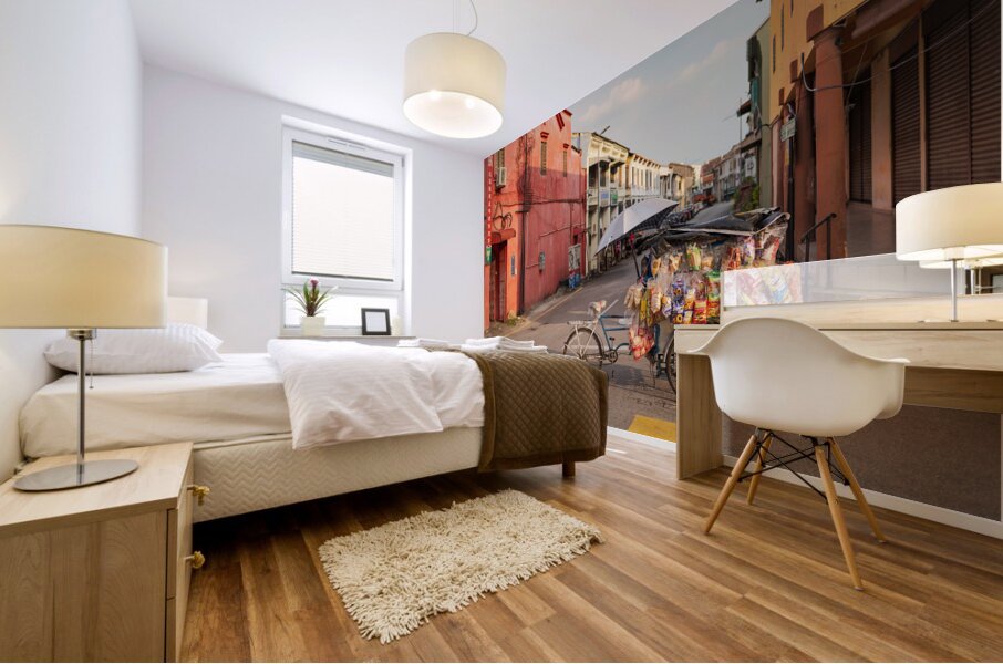 Street Vendor Bike Mural print