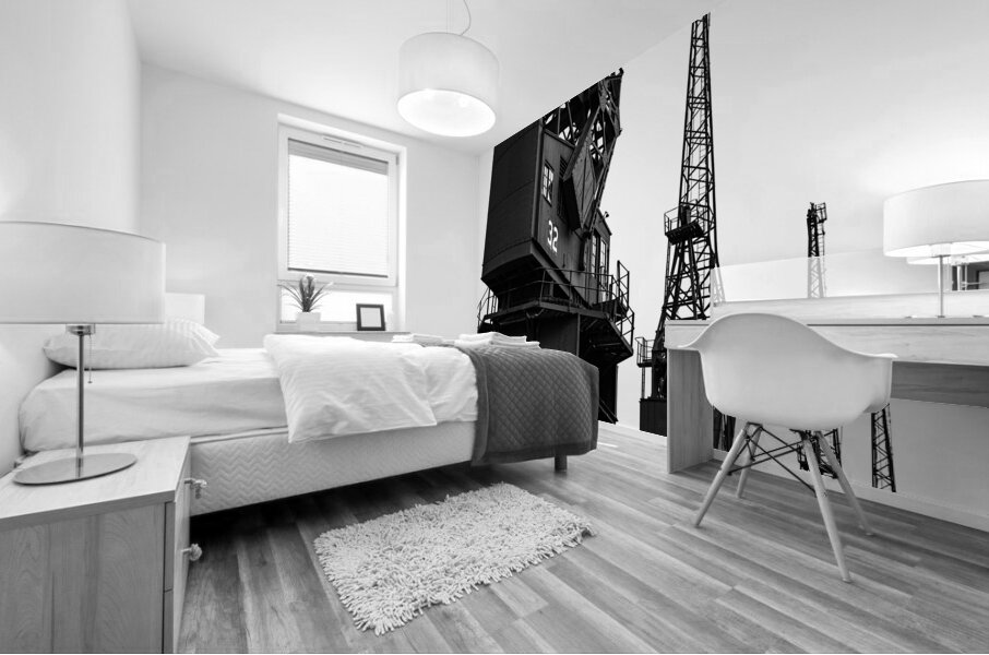 Old Cargo Cranes Mural print