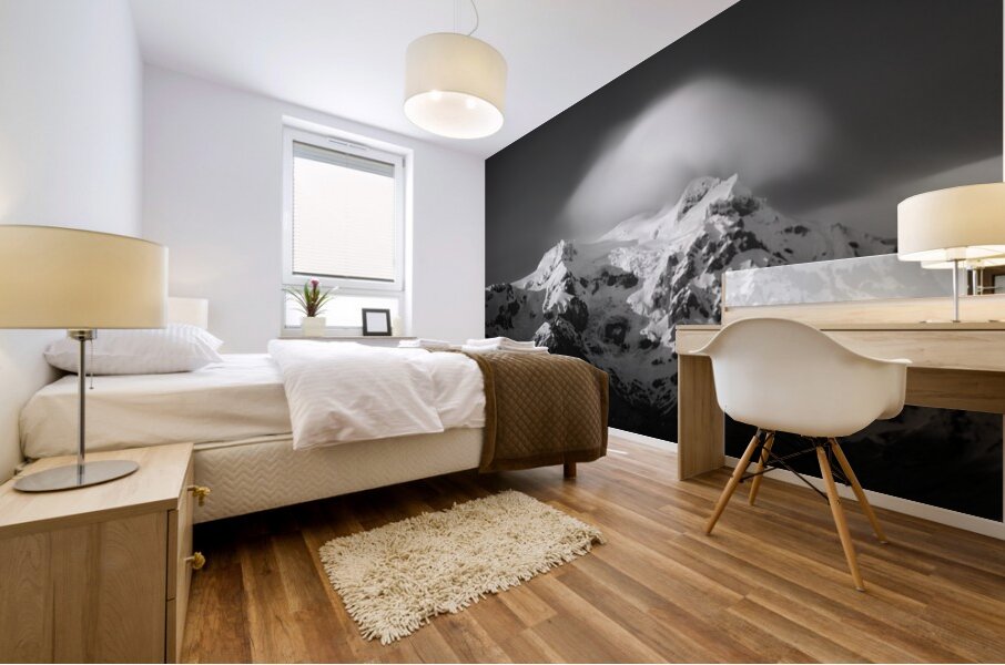 Svinafell Mountains Mural print