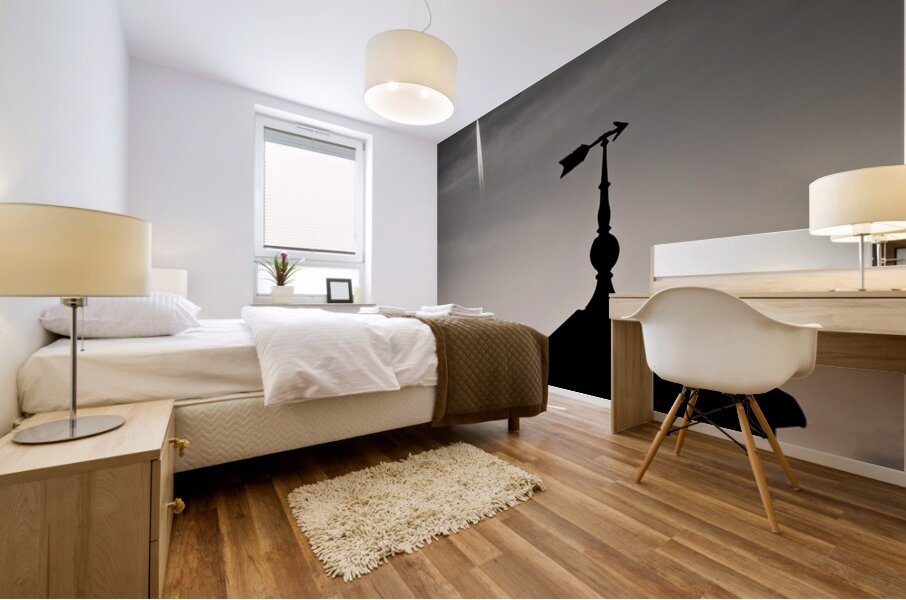 Weather Vane and Plane Mural print