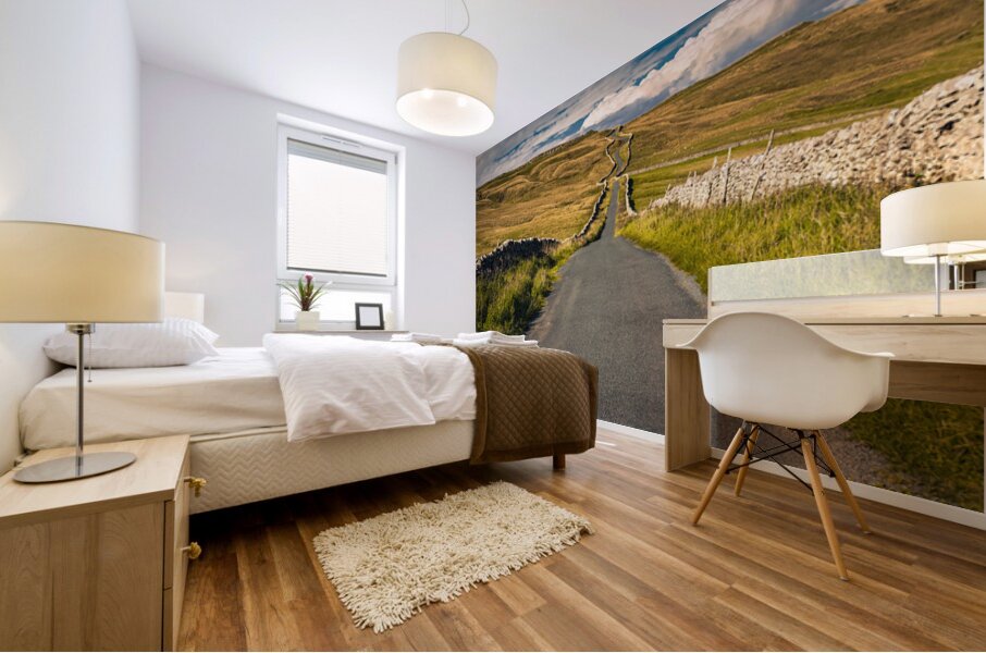 Road Through the Dales Mural print