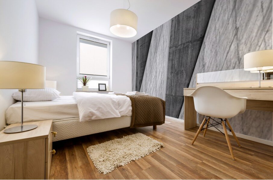 Hoover Dam Surface Mural print