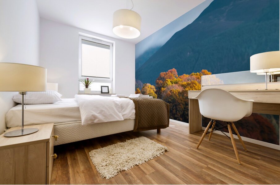 Autumn at Tay Forest Park Mural print