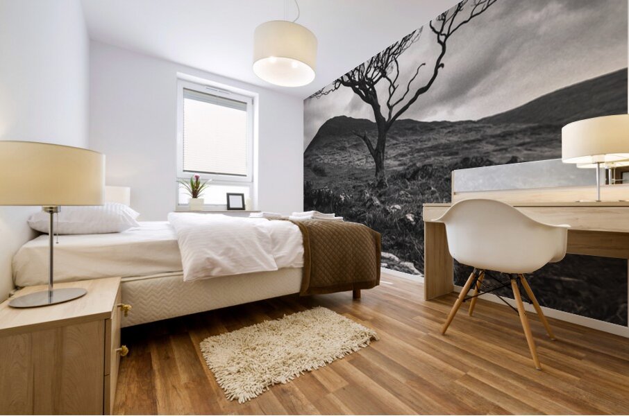 Mull Solitude Mural print