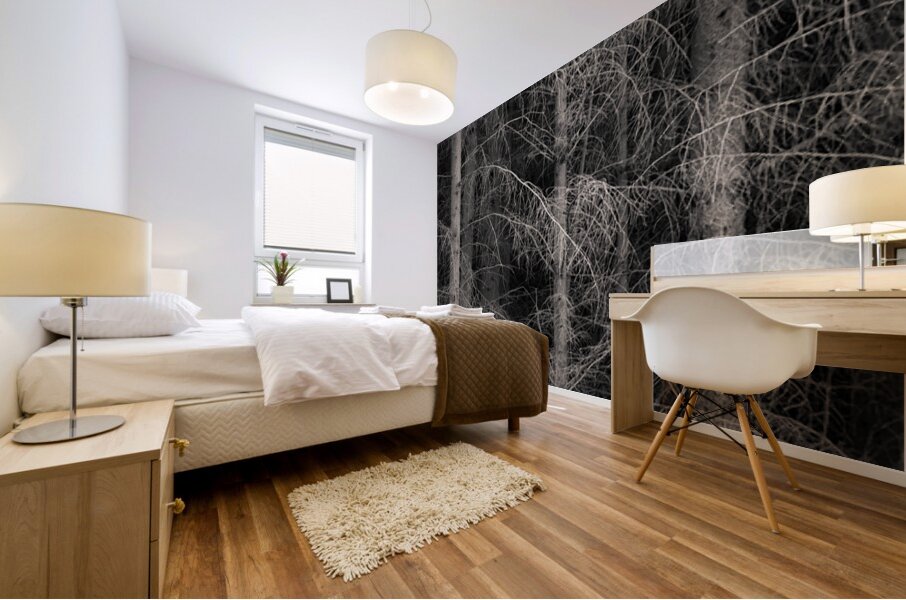 The Edge of Silence Mural print