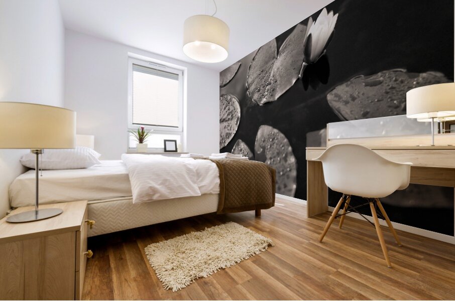 Water Lily After Rain Mural print
