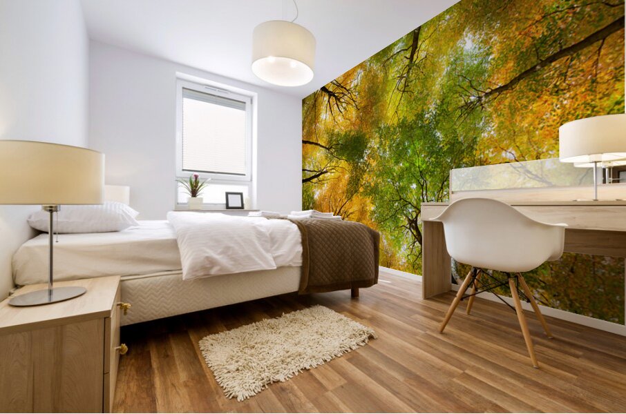 Autumnal Display Mural print