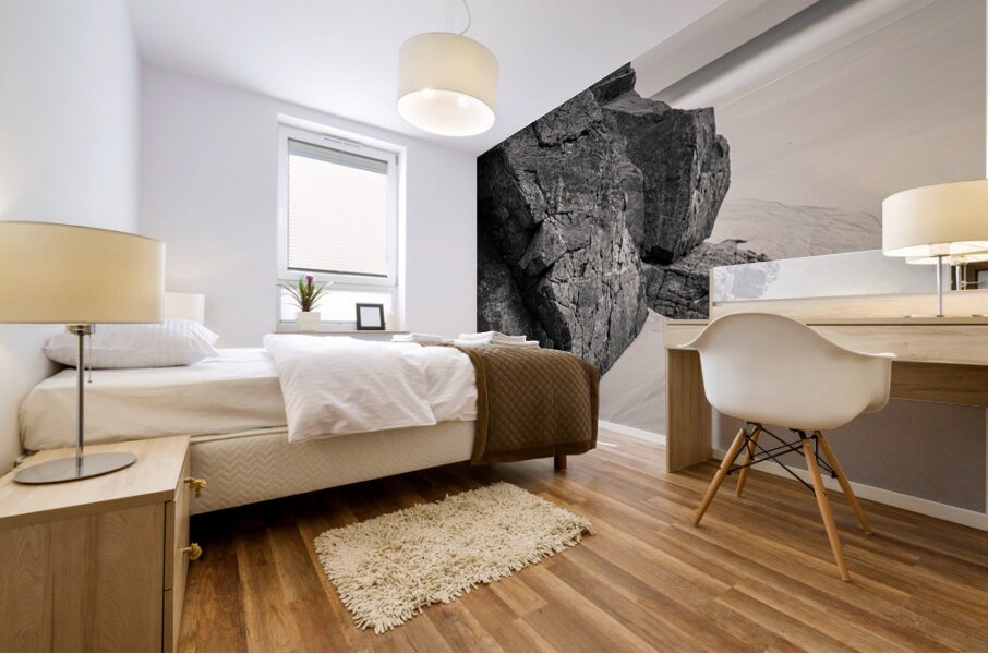 Beach Rock Mural print