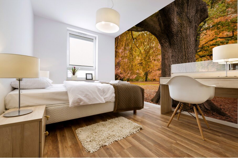 Autumn in Melbourne Mural print