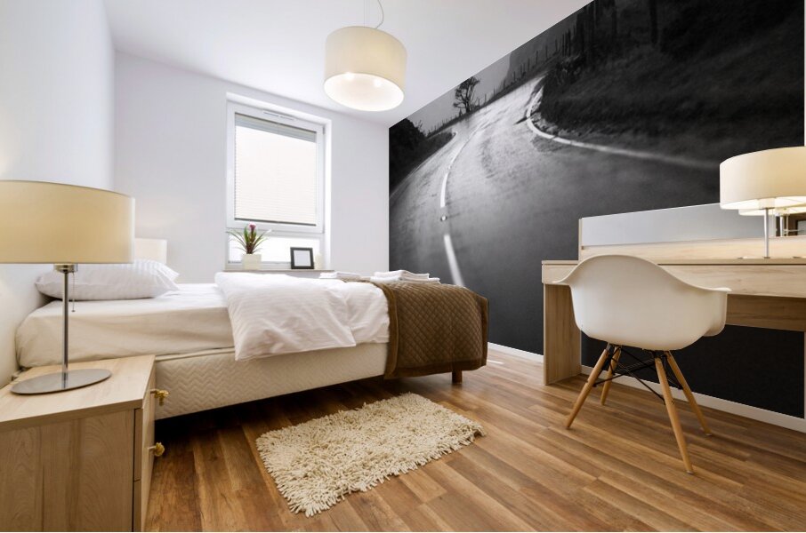 A Wet Day in Snowdonia Mural print