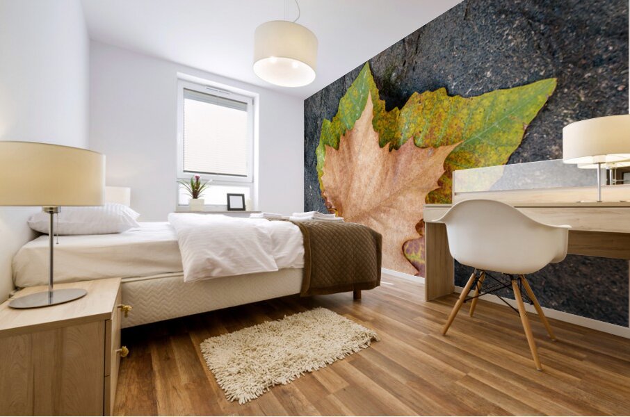 Two Autumn Leaves Mural print