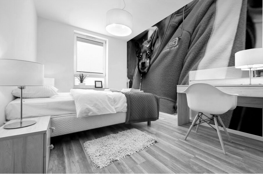 Hitchhiker Mural print