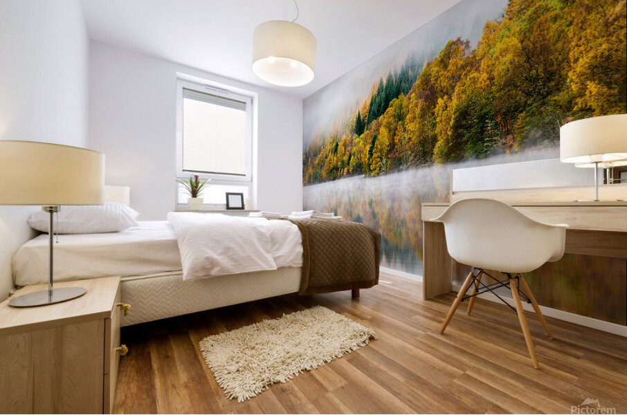 Autumn Mist Mural print