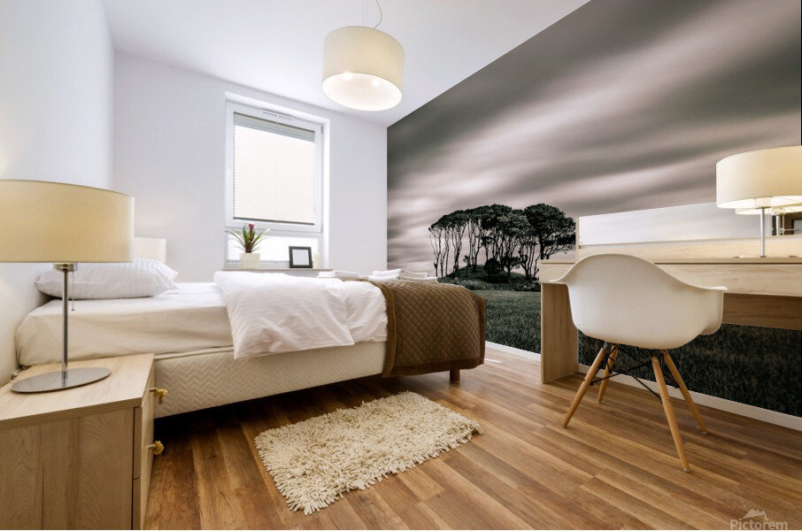 Crawton Copse Mural print