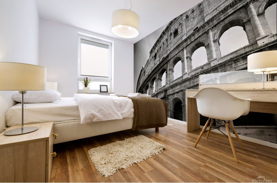 Colosseum Mural print