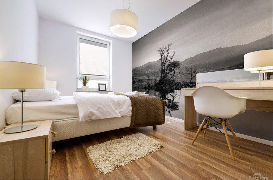 Loch Assynt Reflection Mural print