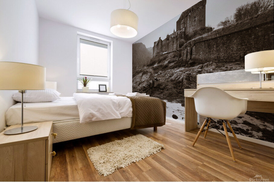 Eilean Donan Solitude Mural print