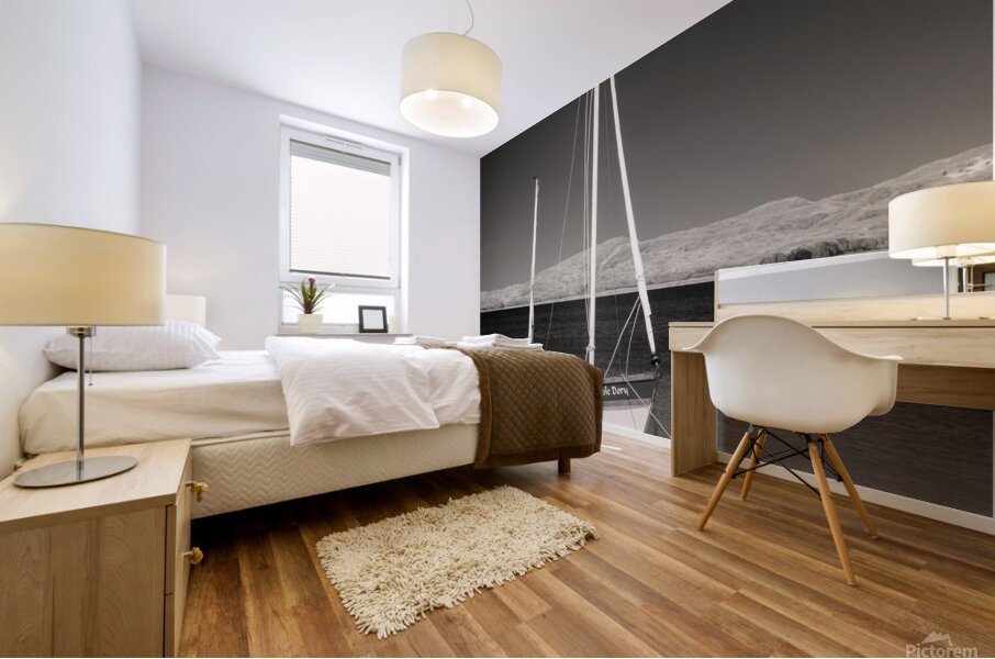 Dumble Dory Mural print