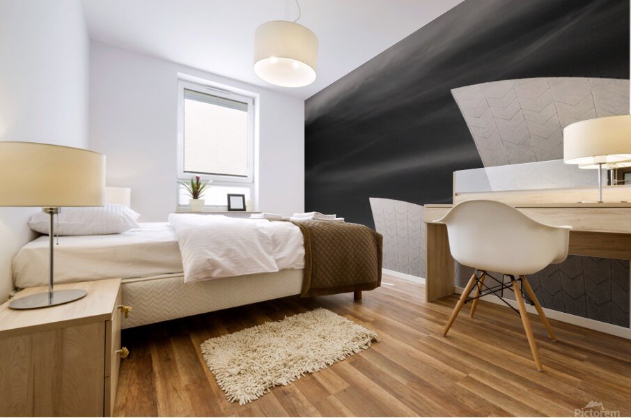 Sydney Opera House Mural print