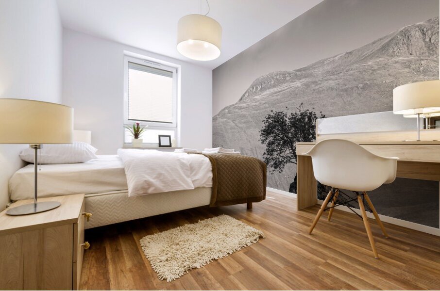 Glen Shiel Tree Mural print