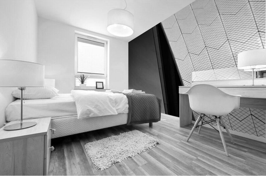 Opera House Mural print