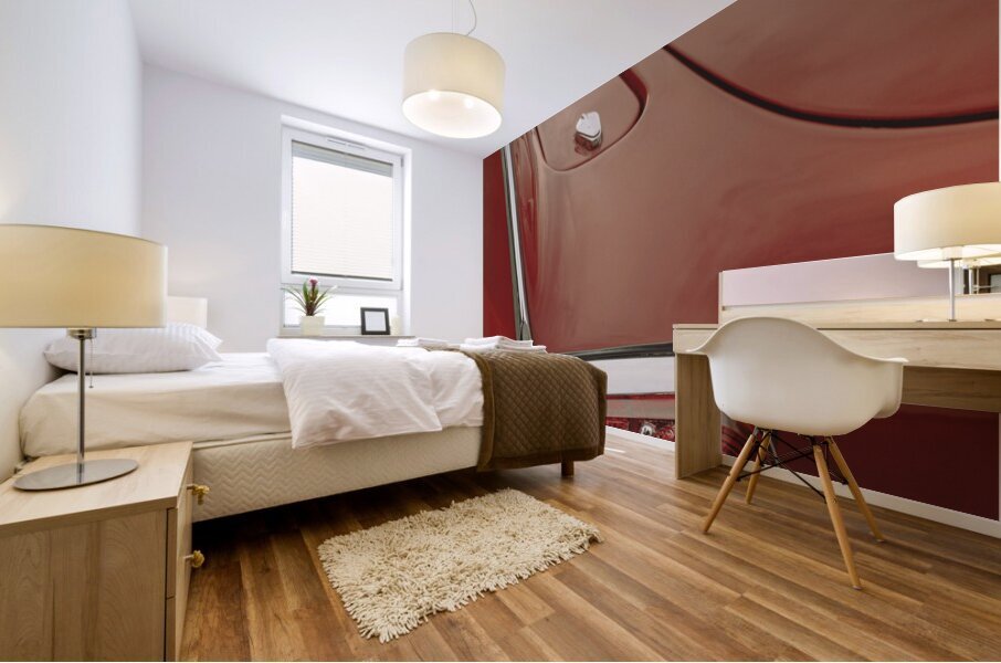 Volvo P1800 Tail Lights Mural print