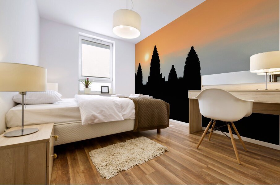 Angkor Wat Sunrise Mural print