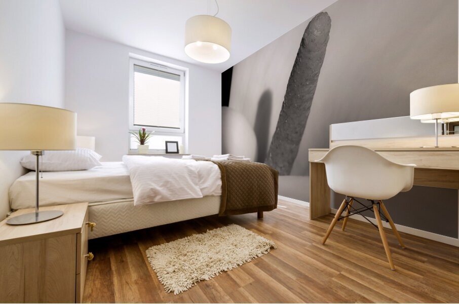 White Calla Lily Impression murale