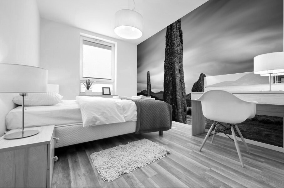 Machrie Moor Standing Stones Mural print