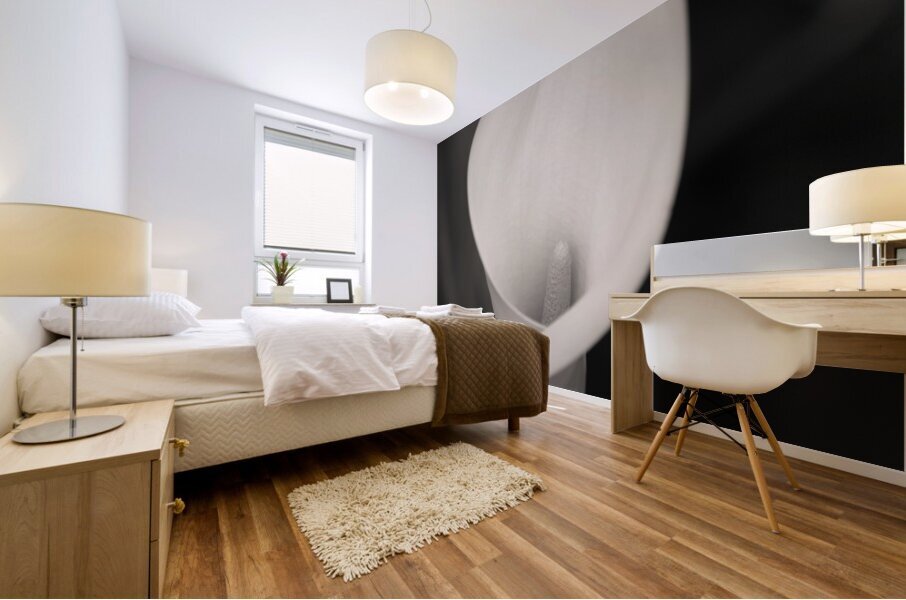 Calla Lily Bloom Mural print