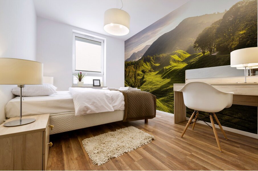 Tea Plantation Sunrise Mural print