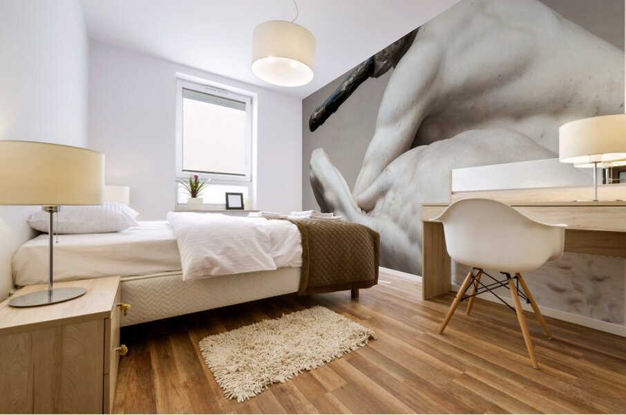 Hercules and the Centaur Nessus Mural print