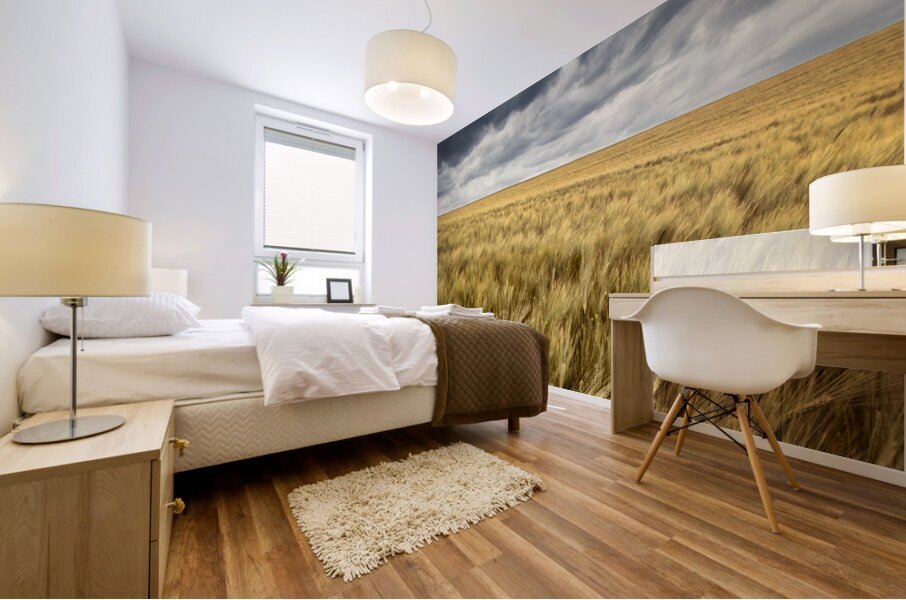 Storm Clouds Over Barley Field Mural print