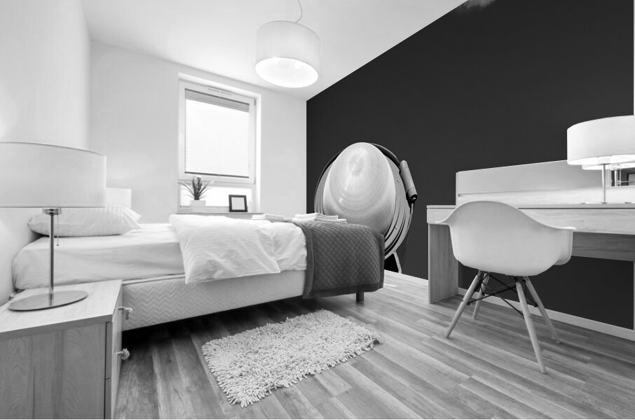 Bridge Light Mural print