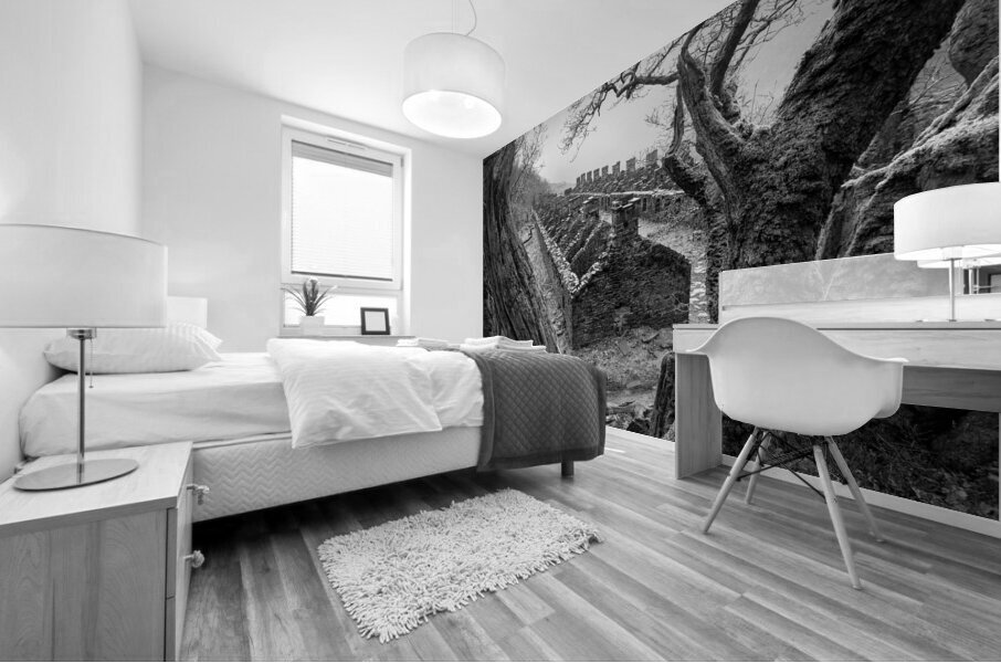 Anglesey Barracks Mural print