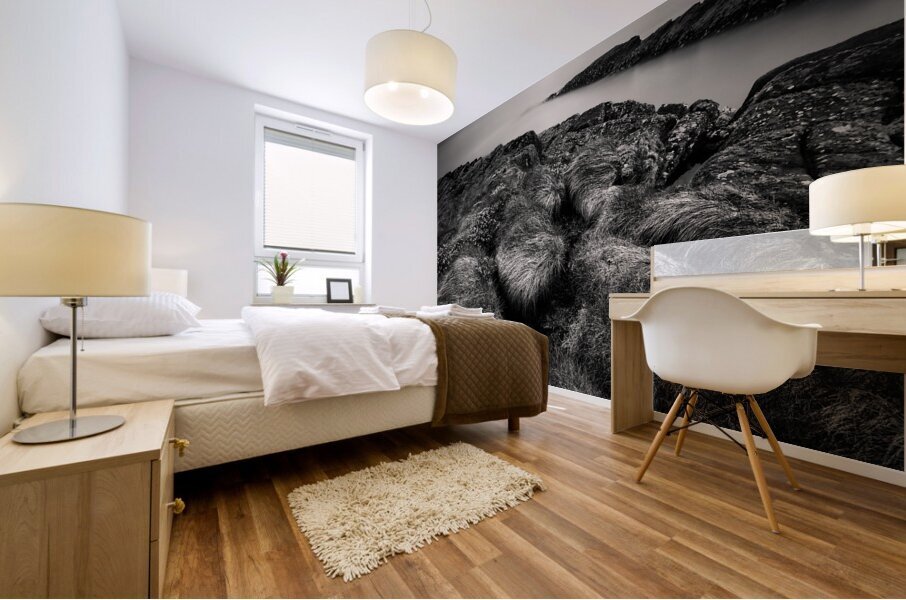 Loch Ewe Mural print