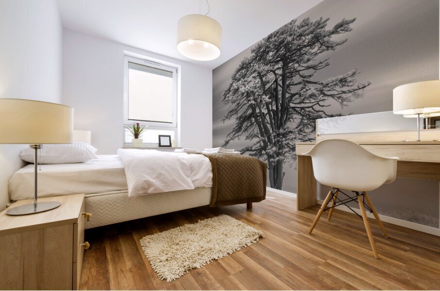 Llansteffan Cedar Tree Mural print