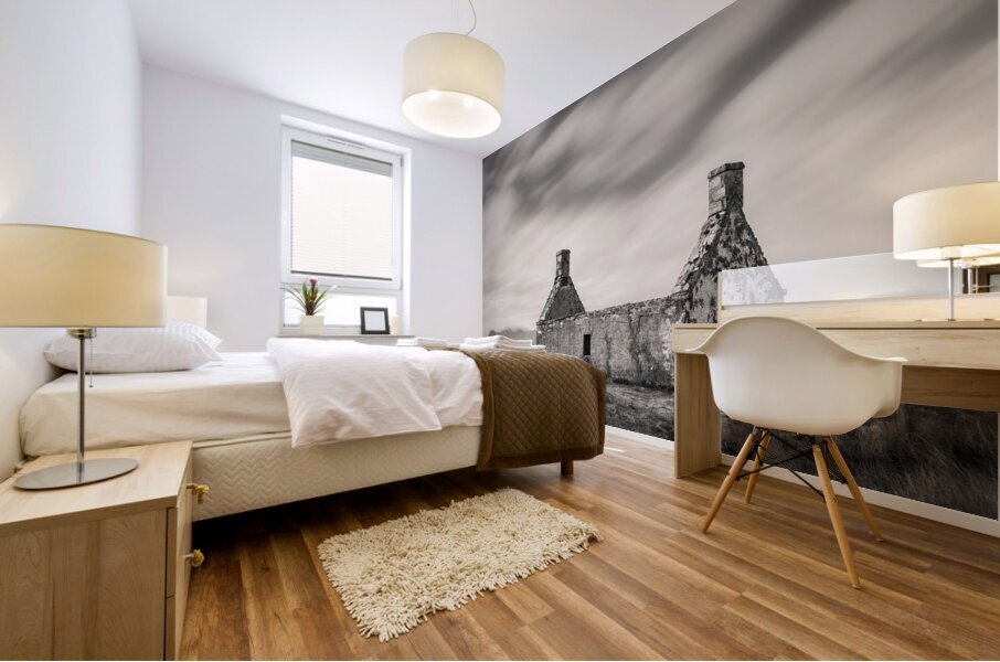 Moine House Mural print