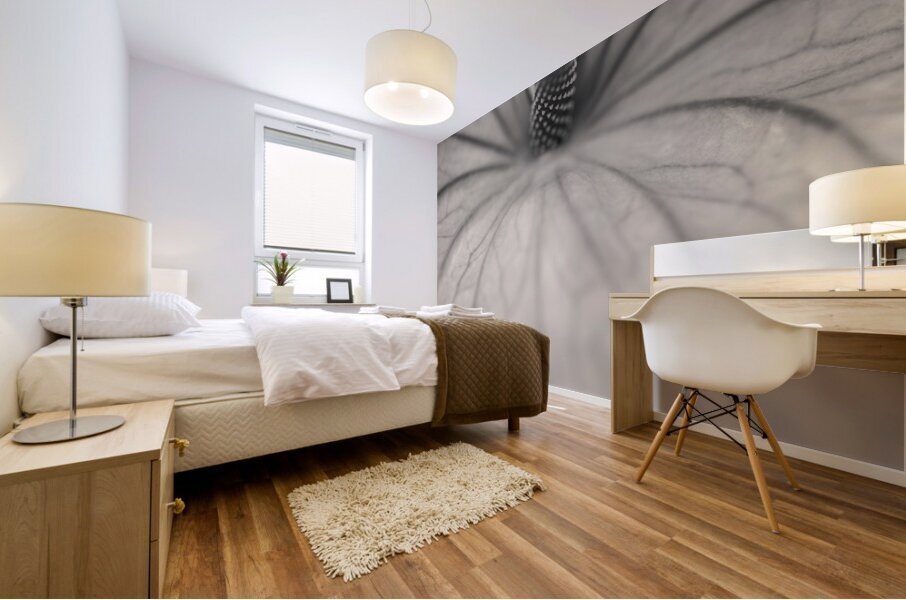 Anthurium Impression murale