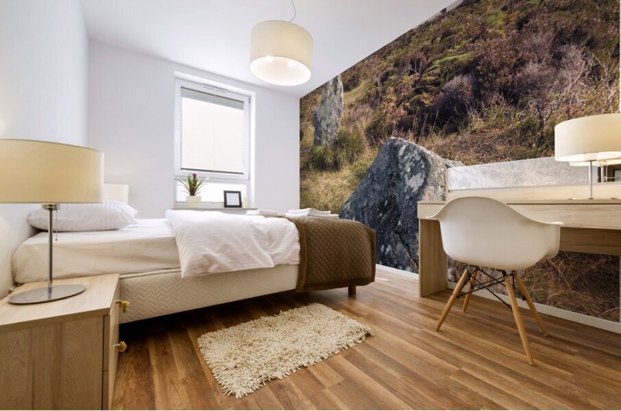 Pobull Fhinn Stone Circle Mural print