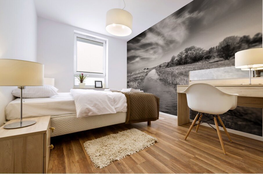 White Swan Mural print