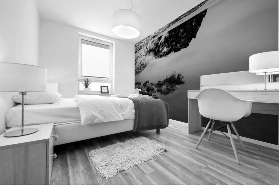 Stora Dimon Reflection Mural print