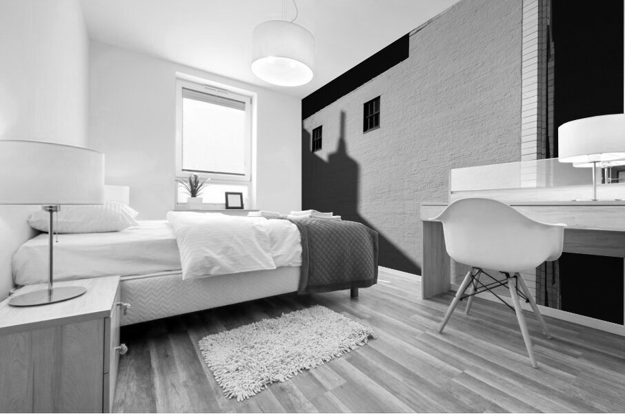 Chicago Shadow Mural print