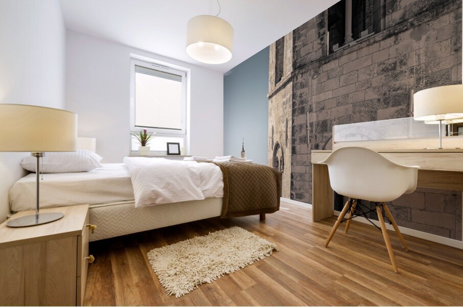 Dubrovnik Cathedral and Old Town Mural print