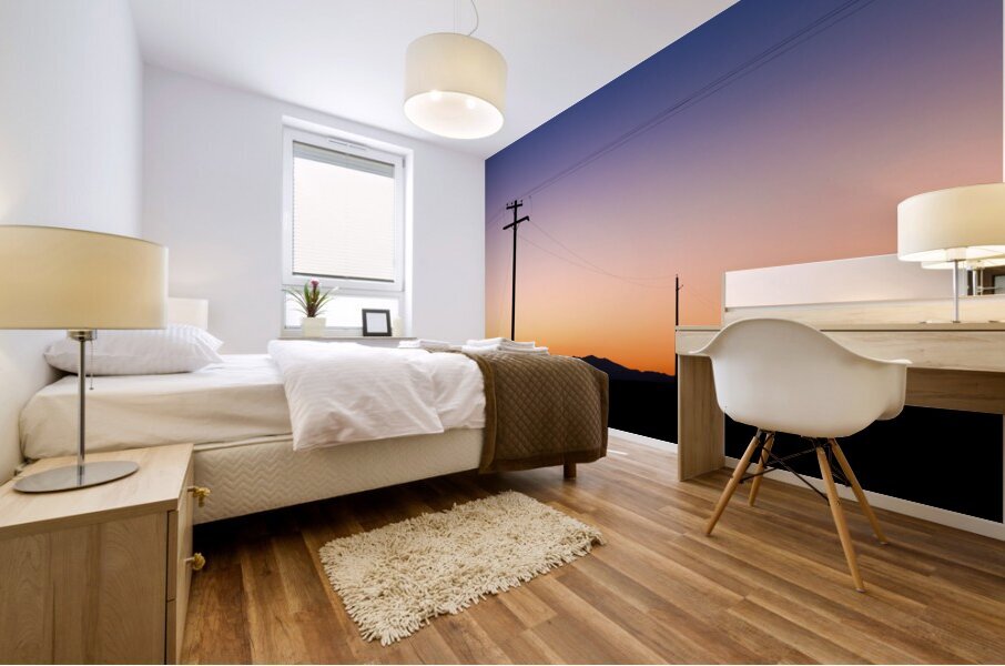 Desert Communication Mural print