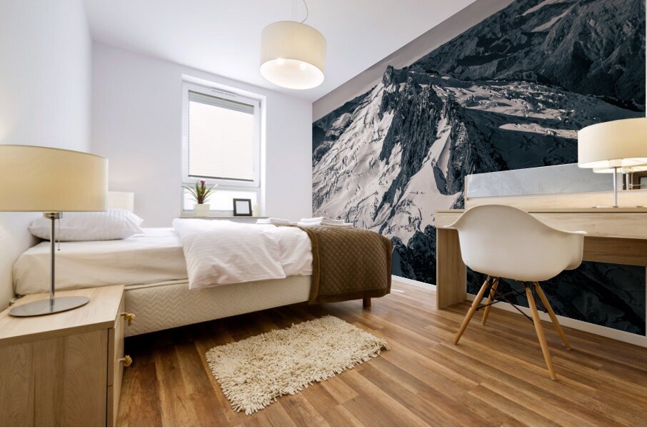 Lone Summit Mural print