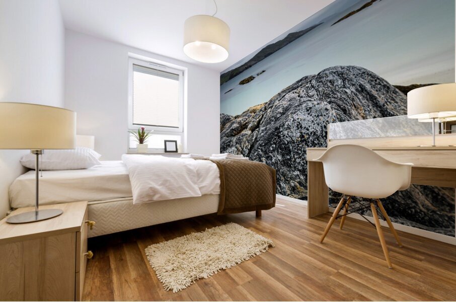 Harris View Mural print