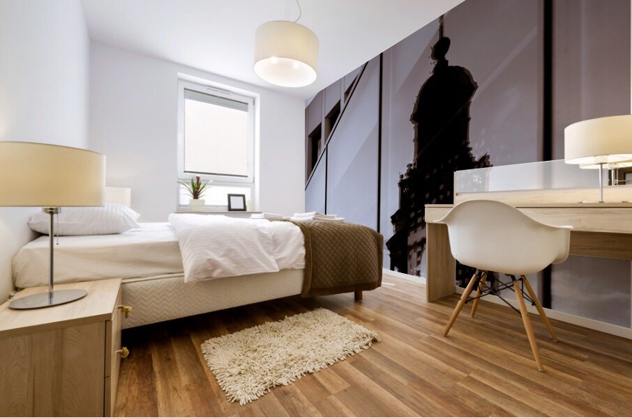 Maastricht Town Hall Reflection Mural print